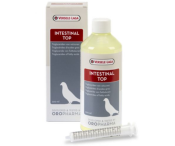 VL Intestinal Top